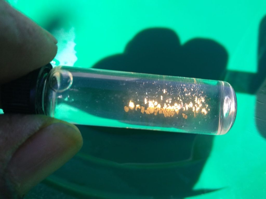 Prospecting Equipment Desert Gold Diggers